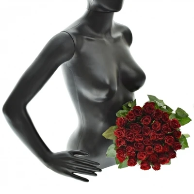 Kytice 35 červených růží SIMPLY RED