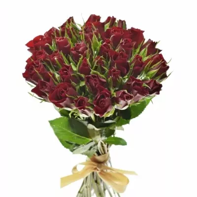 Kytice 35 červených růží VALENTINO