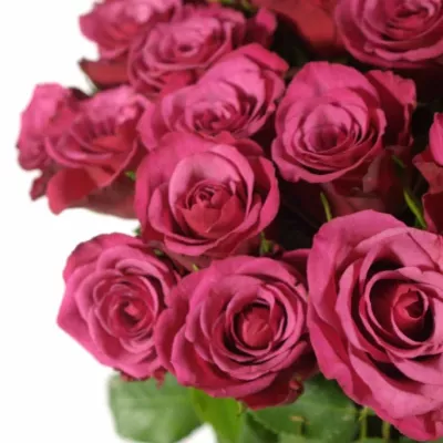 Kytice 35 fialových růží AMALIA 50cm