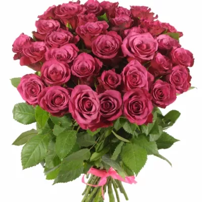 Kytice 35 fialových růží AMALIA 50cm