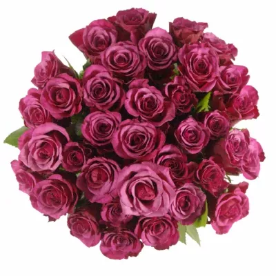 Kytice 35 fialových růží AMALIA 40cm