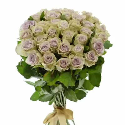 Kytice 35 fialových růží FIFTH AVENUE! 40cm