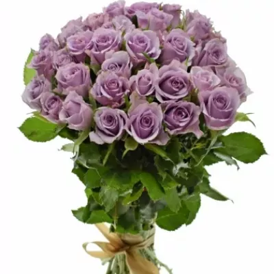 Kytice 35 fialových růží JAZZ 40cm