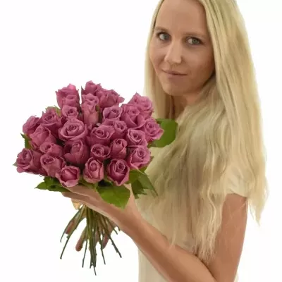 Kytice 35 fialových růží NEW ORLEANS 40cm