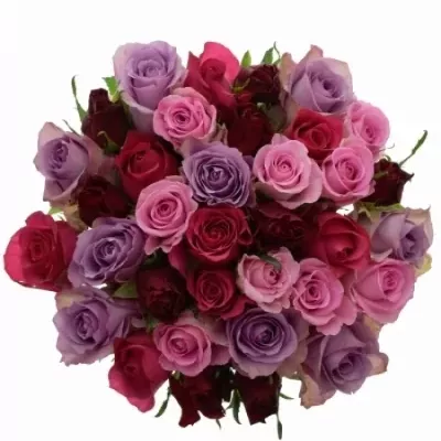 Kytice 35 míchaných růží ANAXANDRA 40cm