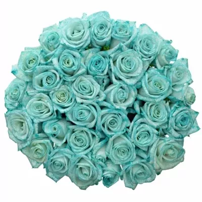 Kytice 35 modrých růží ICE BLUE VENDELA 70 cm