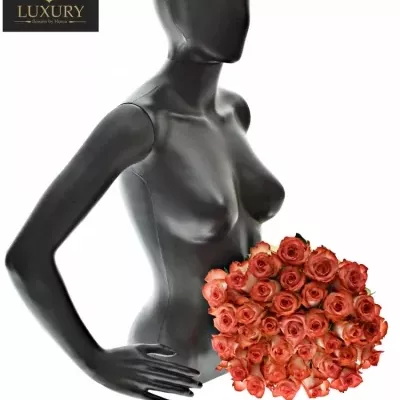 Kytice 35 luxusních růží BLUSH 70cm