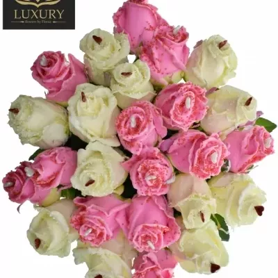 Kytice 25 luxusních růží CHOCOLATIA 60cm (L)