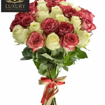 Kytice 35 luxusních růží DAPHNE