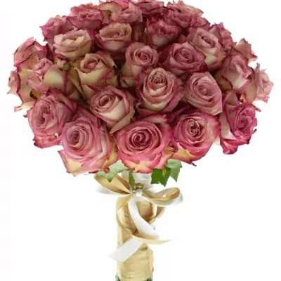 Kytice 35 luxusních růží EDGE 80cm