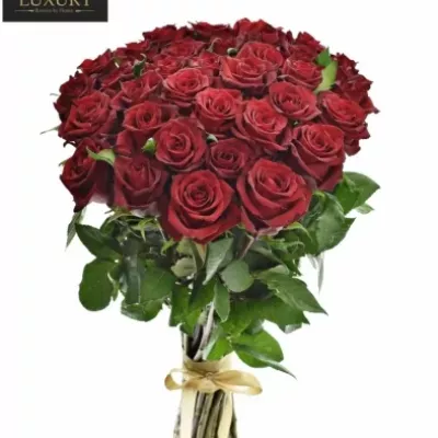 Kytica 35 luxusných ruží EVER RED 100cm