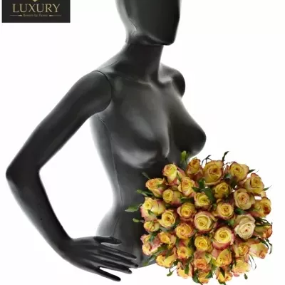 Kytice 35 luxusních růží KNOX 70cm