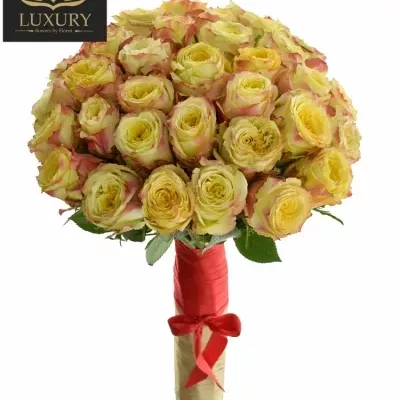Kytice 35 luxusních růží KRYPTONITE 60cm