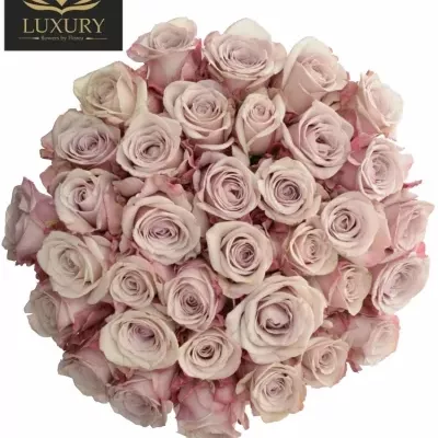 Kytice 35 luxusních růží LOVELACE