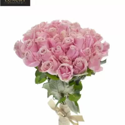 Kytice 35 luxusních růží PINK AVALANCHE+ 50cm