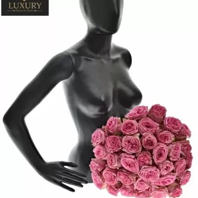 Kytice 35 luxusních růží PINK TORRENT 50cm