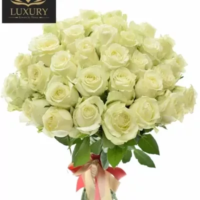 Kytice 35 luxusních růží QUEEN OF AFRICA XL