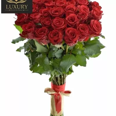 Kytice 35 luxusních růží RED EAGLE