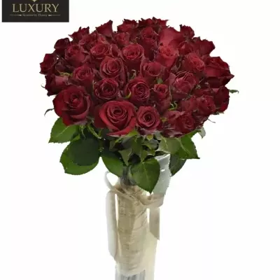 Kytice 35 luxusních růží RED LION 50cm