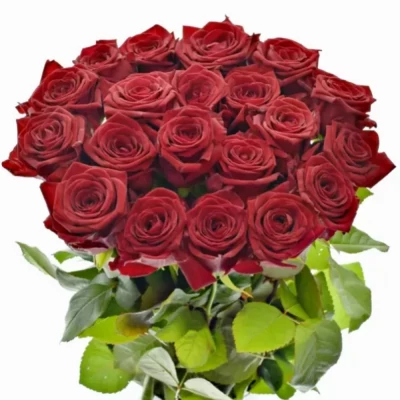 Kytica 35 luxusných ruží RED NAOMI! 60cm
