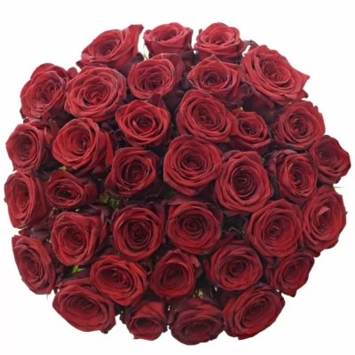 Kytice 35 luxusních růží RED NAOMI! 60cm