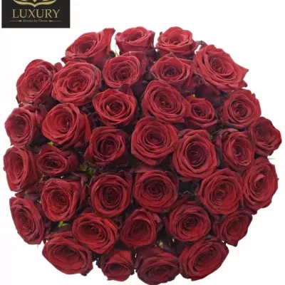 Kytice 35 luxusních růží RED NAOMI! 