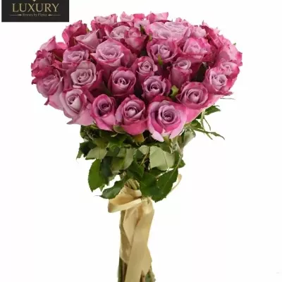 Kytice 35 luxusních růží ROCKFIRE 50cm