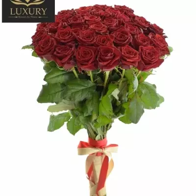Kytice 35 luxusních růží TESTAROSSA 
