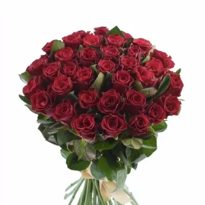 Kytice 35 malinových růží Red Tacazzi+