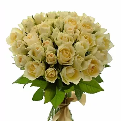 Kytice 35 meruňkových růží ANGELA 35cm