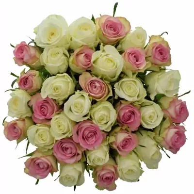 Kytice 35 míchaných růží AGAPA 50cm
