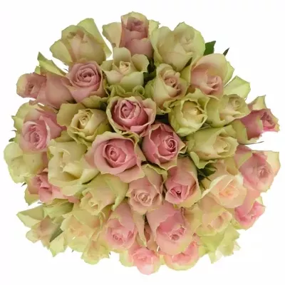 Kytice 35 míchaná AHAB 40cm