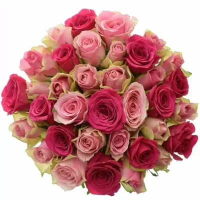 Míchaná kytice 35 vícebarevných růží ALHIVIA 50 cm