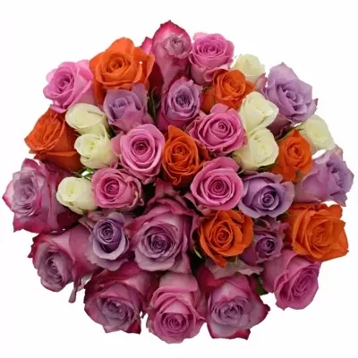 Kytice 35 míchaných růží DOLORRES 50cm