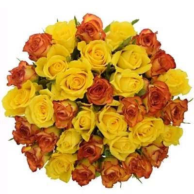 Míchaná kytice 35 vícebarevných růží JANNY 45 cm