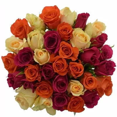 Kytice 35 míchaných růží KIMI CANDRA 50cm