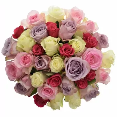 Kytice 35 vícebarevných růží NICOLE 60 cm