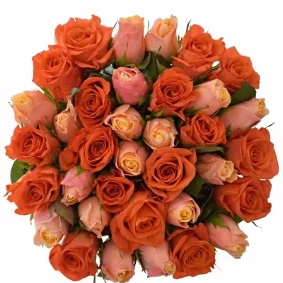 Kytice 35 míchaných růží ORANGE CANDRA 50cm