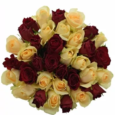 Míchaná kytice 35 vícebarevných růží PEACH MELORA 50 cm