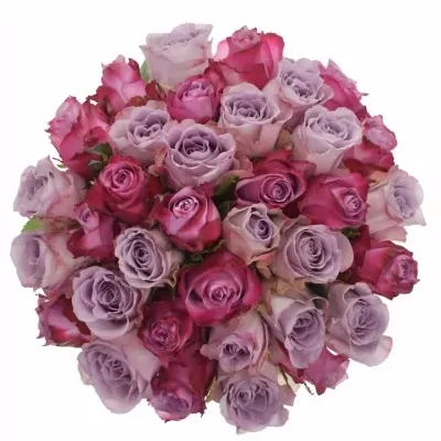 Kytice 35 vícebarevných růží PENELOPA 50 cm
