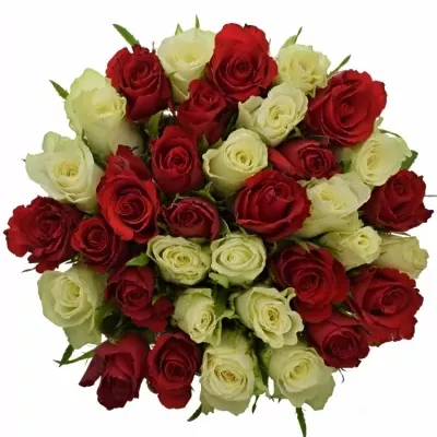 Míchaná kytice 35 vícebarevných růží AGATHA 50 cm