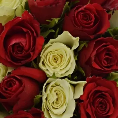 Kytice 35 míchaných růží AGATHA 50cm