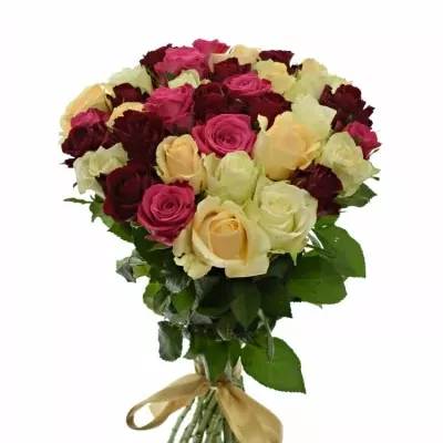 Kytice 35 míchaných růží AMALGITH