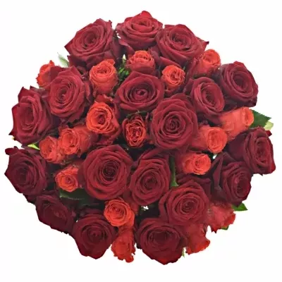 Kytice 35 míchaných růží BERENIKE 40cm