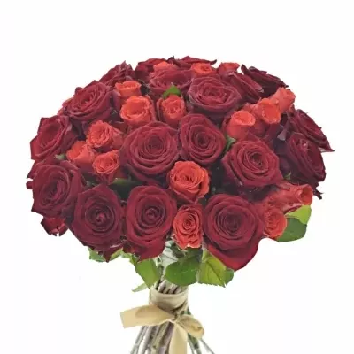 Kytice 35 míchaných růží BERENIKE 40cm