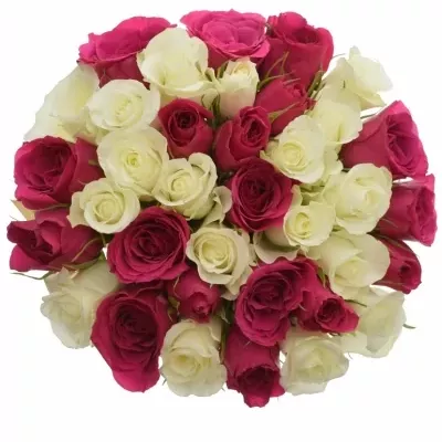 Kytice 35 míchaných růží CRONUS 50cm