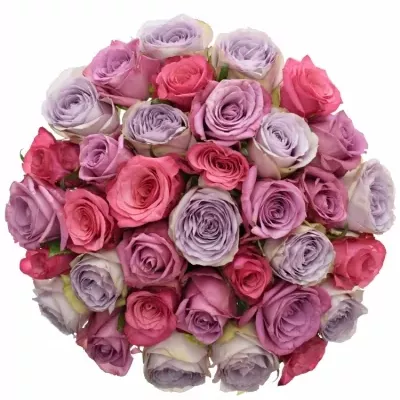 Míchaná kytice 35 vícebarevných růží DARIELLA 50 cm