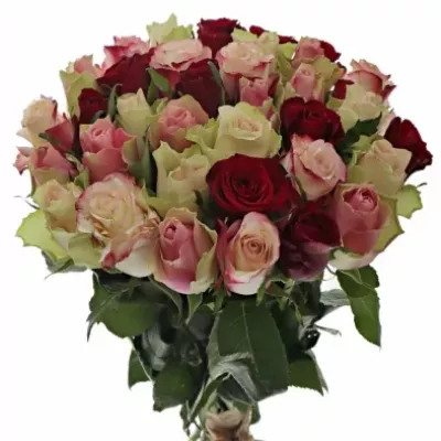 Kytice 35 míchaných růží EBIGALE 50cm