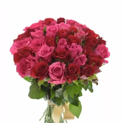 Kytice 35 míchaných růží GRACIANA 35cm