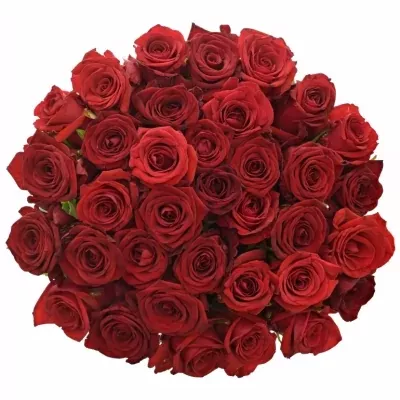 Kytica 35 miešaných ruží JOANNA 50cm